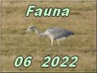 Fauna 06 2022